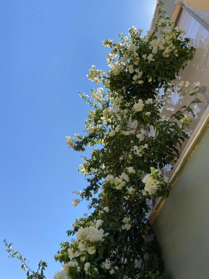Simple Home Мадаба Екстер'єр фото
